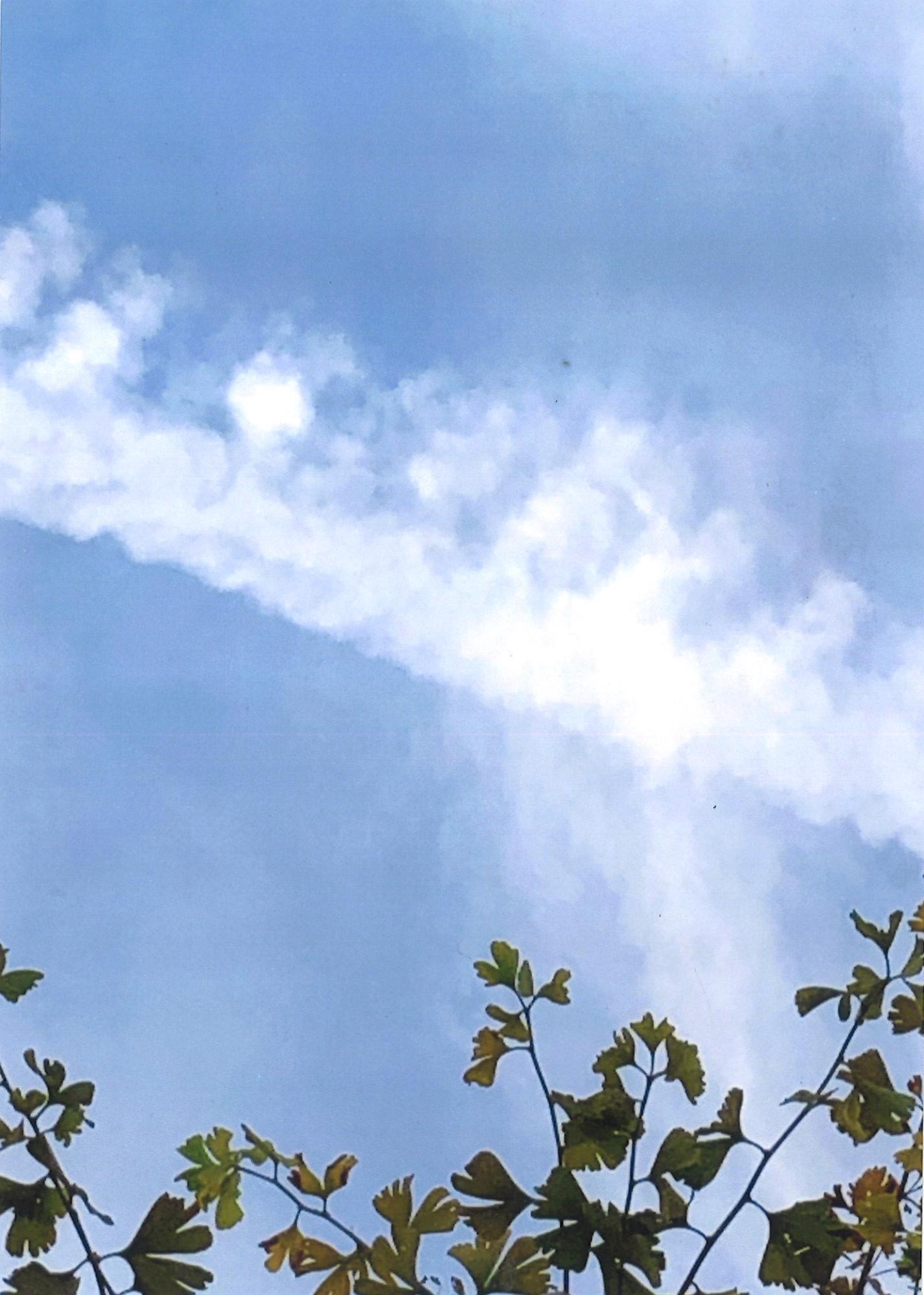 写真:夏空にチョーク一線続いてる